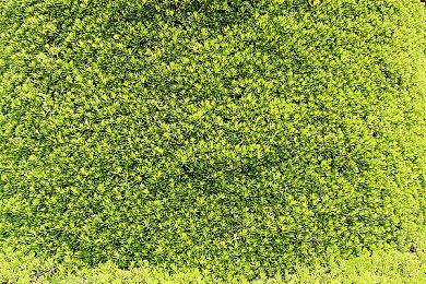 《消逝的光芒：困兽》新预告 游戏暴力美学展示